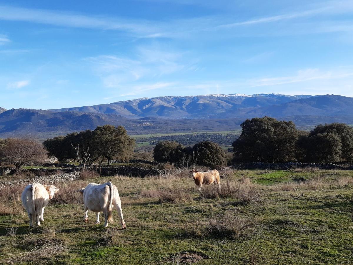 Casa Rural Mi Descanso Valdefuentes de Sangusin Ngoại thất bức ảnh